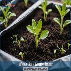 What Are Grow Bags What Are Grow Bags