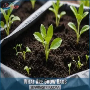 What Are Grow Bags