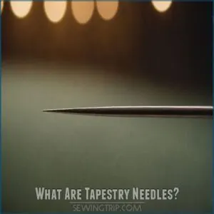 What Are Tapestry Needles