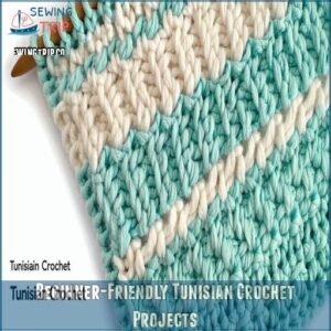 Beginner-Friendly Tunisian Crochet Projects