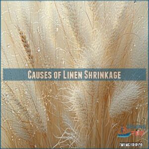 Causes of Linen Shrinkage