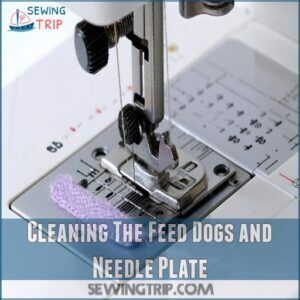 Cleaning The Feed Dogs and Needle Plate Cleaning The Feed Dogs and Needle Plate
