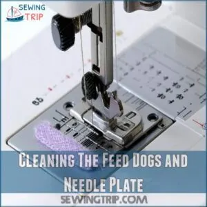 Cleaning The Feed Dogs and Needle Plate