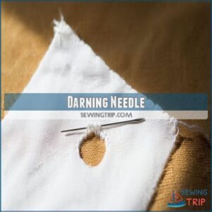 Darning Needle