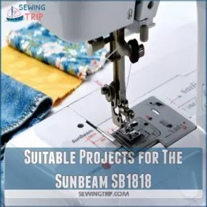 Suitable Projects for The Sunbeam SB1818