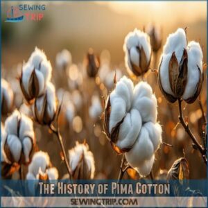 The History of Pima Cotton