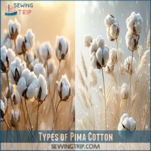 Types of Pima Cotton