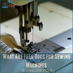 What Are Feed Dogs for Sewing Machines