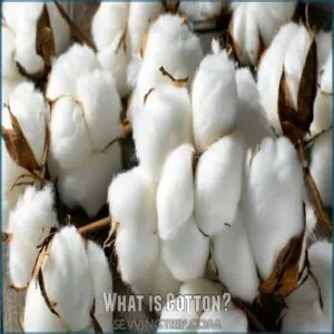 What is Cotton