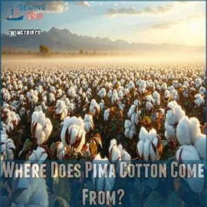 Where Does Pima Cotton Come From