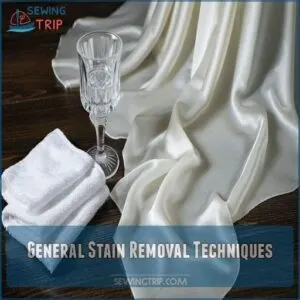 General Stain Removal Techniques