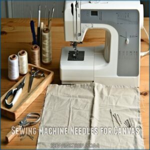 Sewing Machine Needles for Canvas