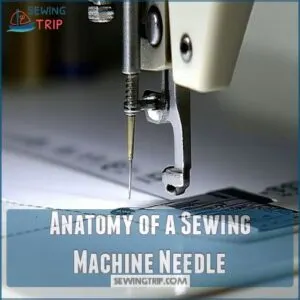 Anatomy of a Sewing Machine Needle