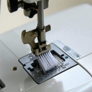 Cleaning Under The Needle Plate Cover