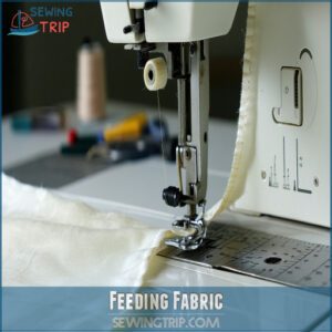 Feeding Fabric