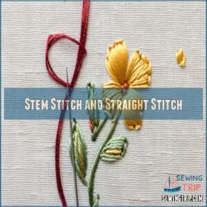 Stem Stitch and Straight Stitch