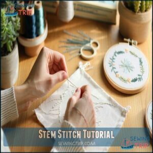 Stem Stitch Tutorial