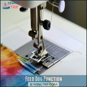 Feed Dog Function