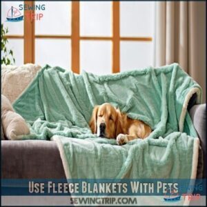 Use Fleece Blankets With Pets