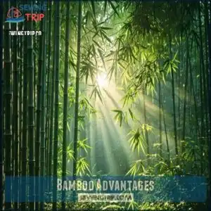 Bamboo Advantages