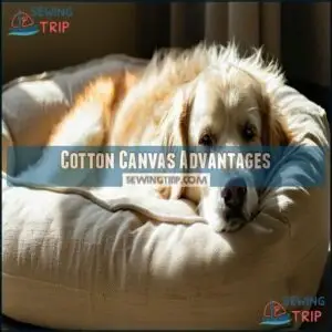 Cotton Canvas Advantages