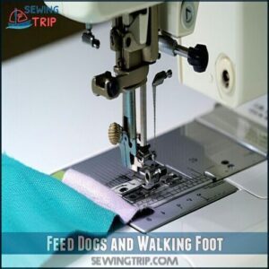 Feed Dogs and Walking Foot