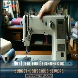 Not Ideal for Beginners or Budget-Conscious Sewers