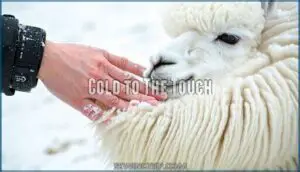 cold to the touch