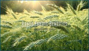 ramie fabric benefits