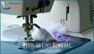 regular lint removal