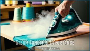 steam function importance