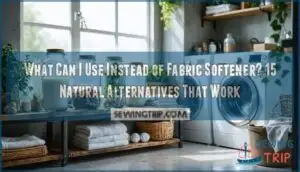what can i use instead of fabric softener 2