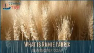 what is ramie fabric