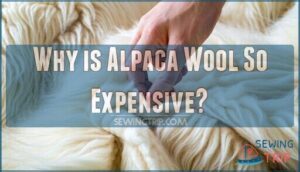 why is alpaca wool so expensive