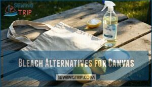 bleach alternatives for canvas