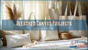 bleached canvas projects