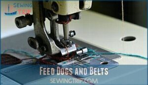 feed dogs and belts