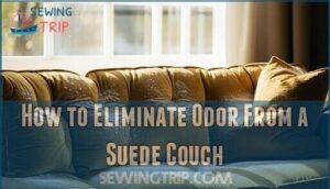 how to eliminate odor from a suede couch