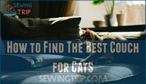 how to find the best couch for cats