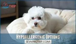 hypoallergenic options