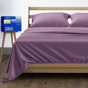 Pure Egyptian Queen Size Cotton B075Q9SZF8