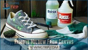 remove mildew from canvas