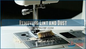 removing lint and dust removing lint and dust