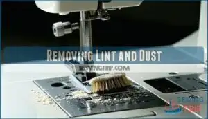 removing lint and dust