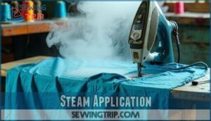 steam application