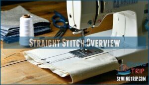 straight stitch overview
