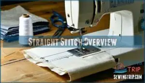 straight stitch overview