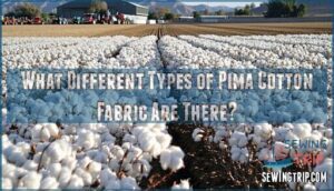 what different types of pima cotton fabric are there