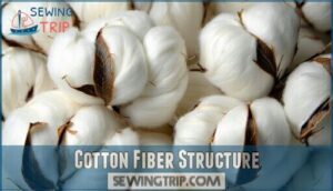 cotton fiber structure