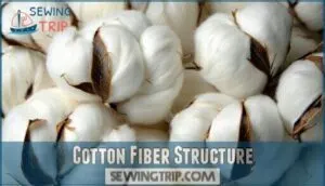cotton fiber structure cotton fiber structure